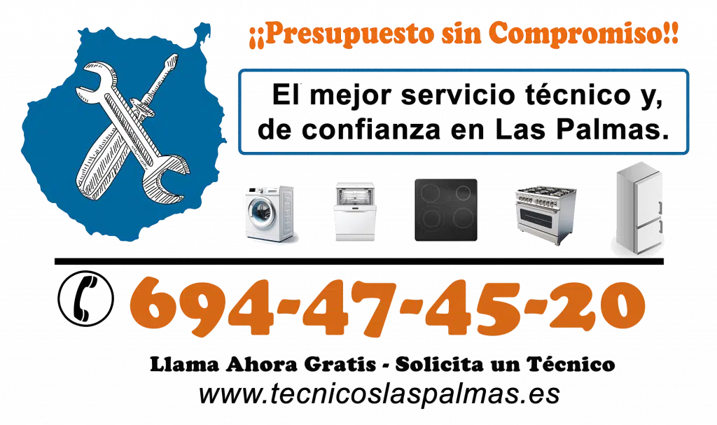 una imagen de una tarjeta de presentación que anuncia un servicio técnico de reparación de electrodomésticos, lavadora, secadora y lavavajillas a domicilio en las palmas